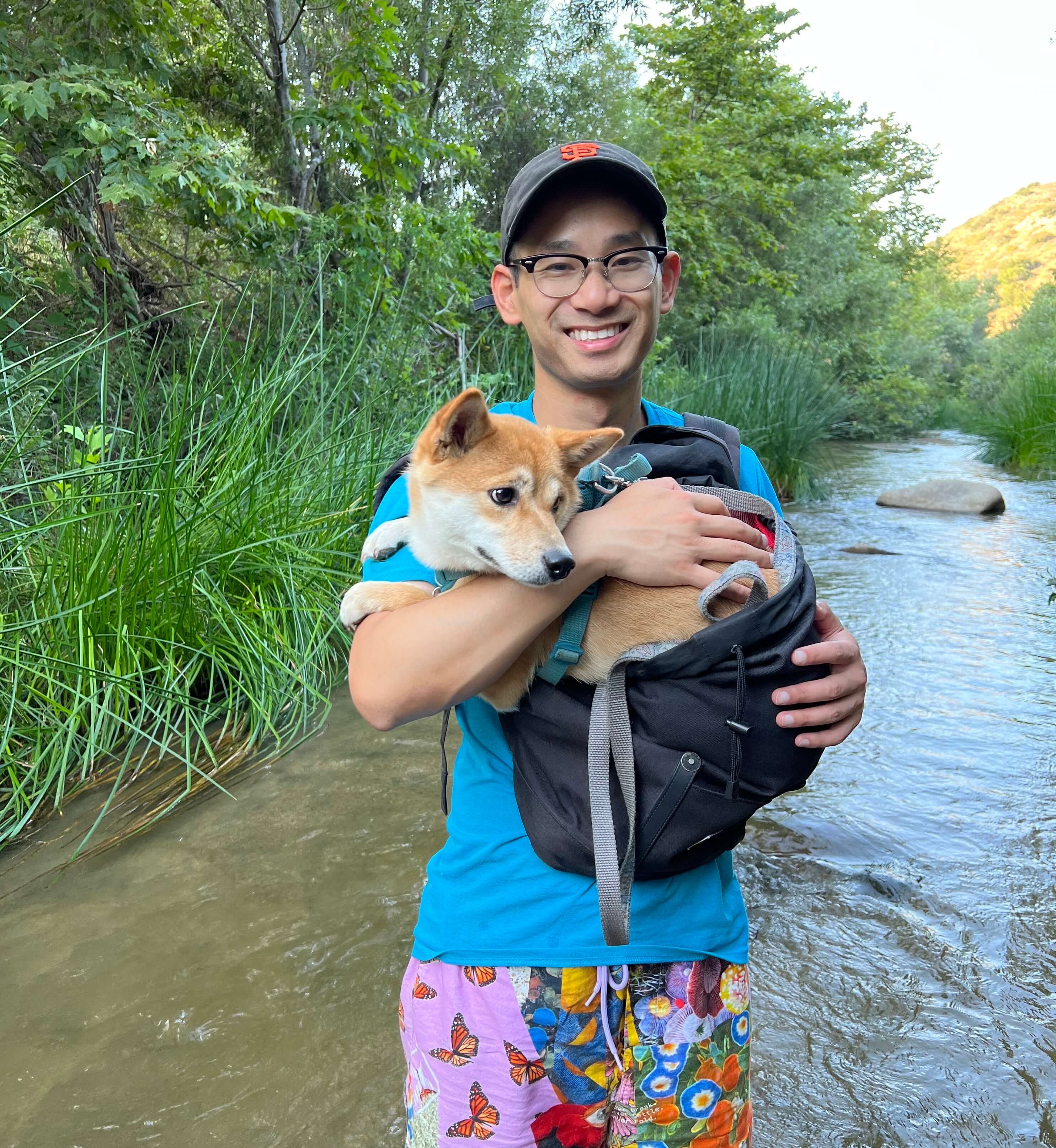 Shiba Inu exploring by the river